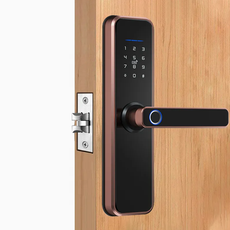 Aluminum Alloy Smart Door Lock with Keyless Touch Keypad for Residential & Apartment Doors